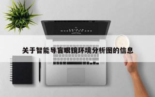 关于智能导盲眼镜环境分析图的信息